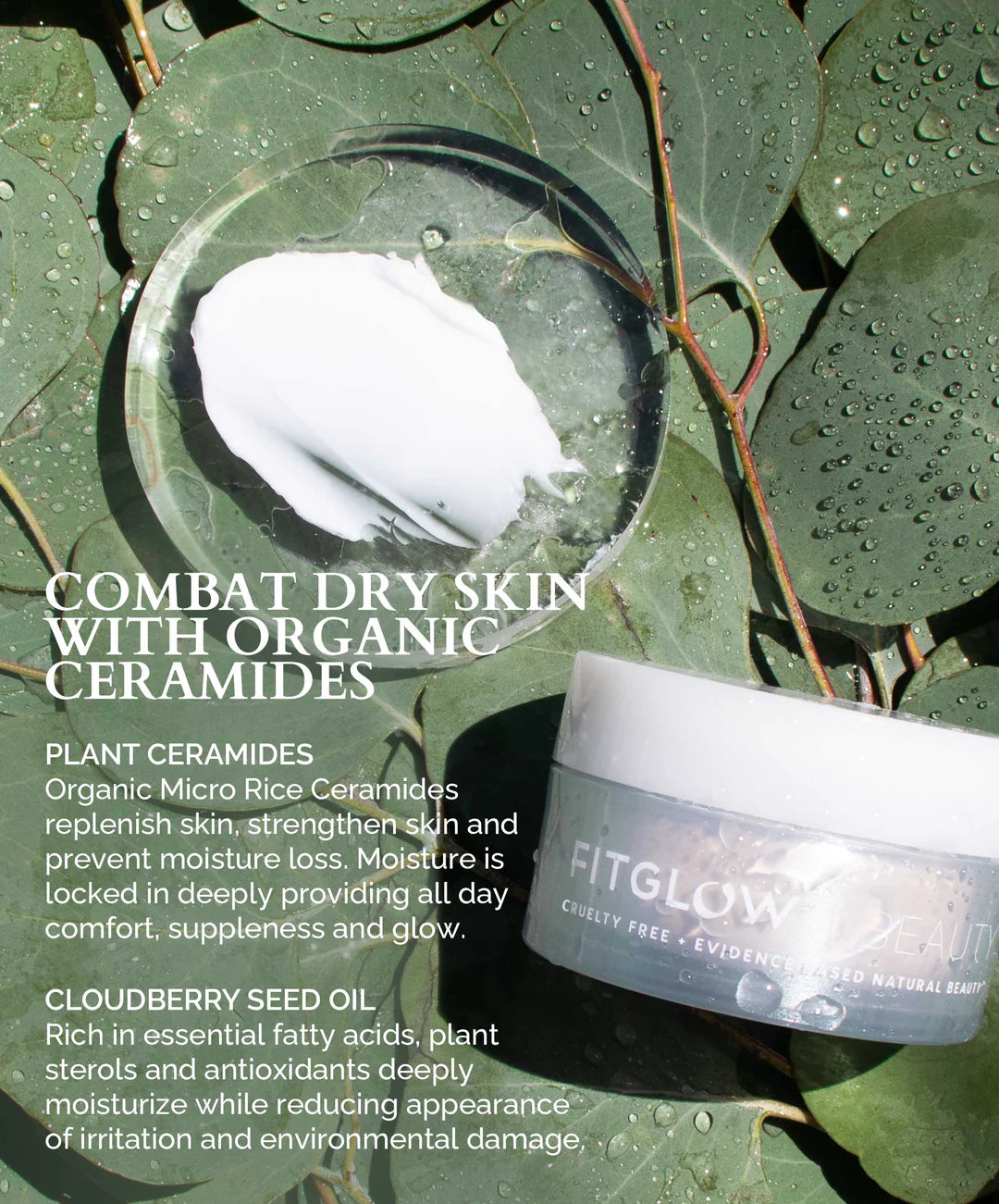 Cloud Ceramide Balm
